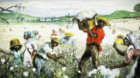 The Financial Machinery of Slavery: Unraveling America's Cotton Empire