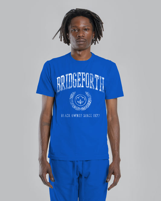 BRIDGEFORTH SEAL - GUNTERVILLE BLUE
