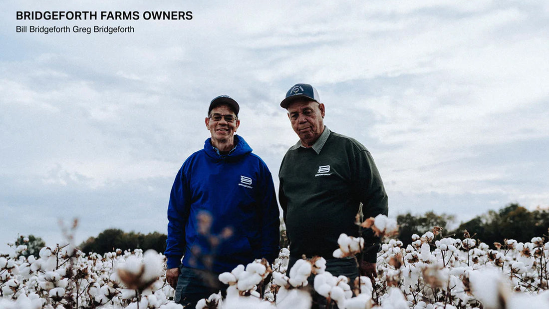 Breaking the Cotton Stigma: Empowering Black Farmers in America