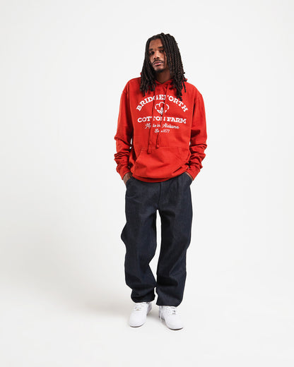 BRIDGEFORTH ARCH HOODIE