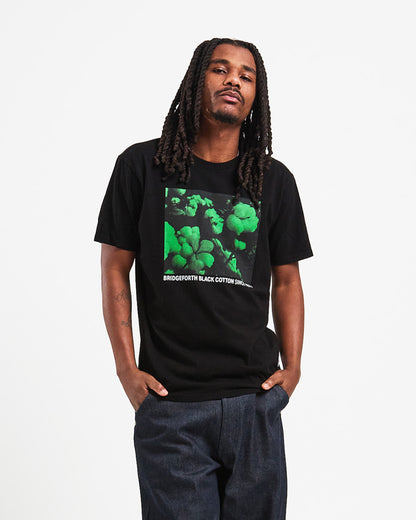 GREEN BOX SS TEE