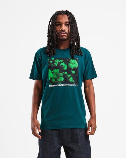 GREEN BOX SS TEE