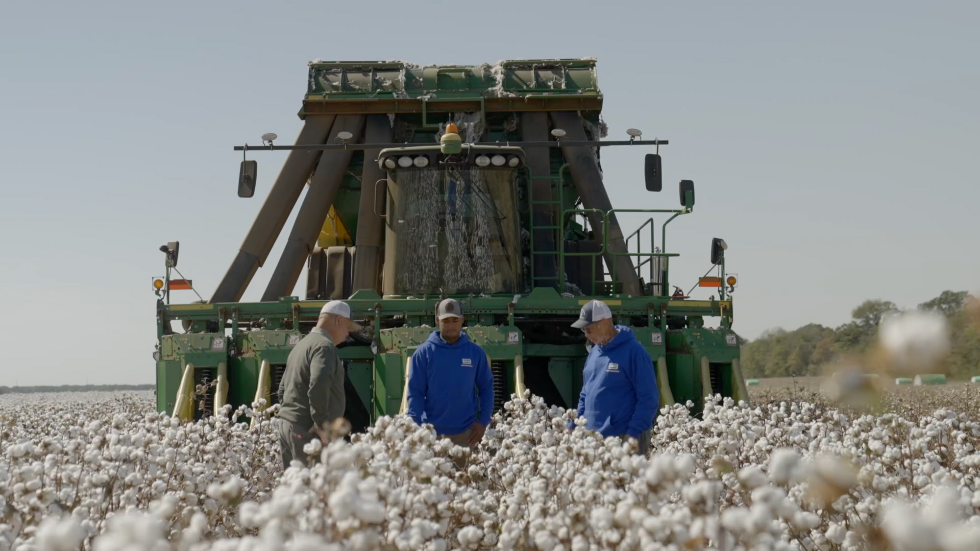 History – Bridgeforth Cotton